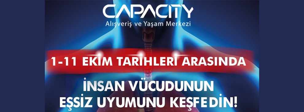 İnsan Vücudunun Eşsiz Uyumunu Birlikte Keşfedelim !